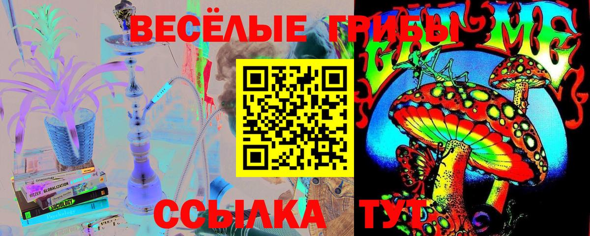 Энгельс  Галлюциногенные грибы Magic Shrooms  цена наркотик  Вход с VPN 